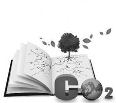 廣東省碳排放權現貨交易累計成交量達9500萬噸 累計成交金額約24億元