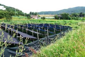 江華：光伏項目收入600萬助力112個貧困村脫貧摘帽