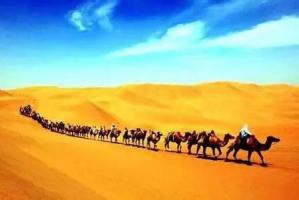 西北五省青海篇 | 新疆絲路基建會(huì)觀眾組織獲西寧專業(yè)觀眾強(qiáng)烈反響！