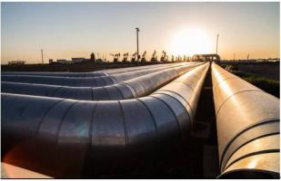 國家能源局綜合司關(guān)于開展油氣管網(wǎng)設(shè)施公平開放信息公開和信息報(bào)送專項(xiàng)督查工作的通知