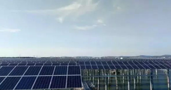 晶澳海外業務增長迅速 巴西、馬來西亞光伏電站均采用其高效單晶PERC組件