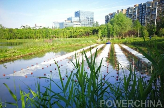 合肥市巢湖原位水質提升試點工程順利實施