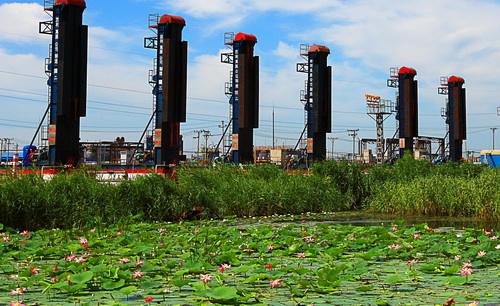 DEDP計(jì)劃在2018年安裝太陽(yáng)能干燥系統(tǒng)
