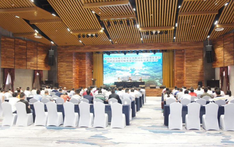 水電站運行管理、梯級調度控制專委會聯合召開2018年學術交流會