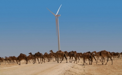 Elecnor被授予毛里塔尼亞第二個風電場的建設權