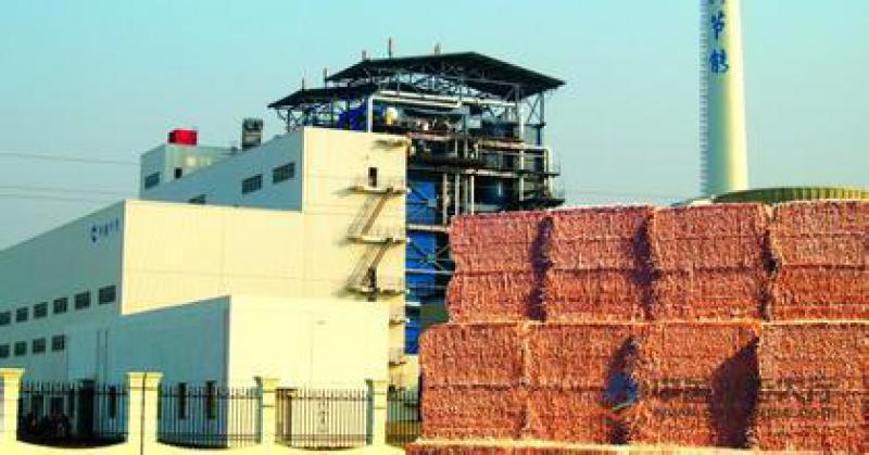 郭云高：失去“電價補貼” 生物質和燃煤耦合生物質發(fā)電該如何發(fā)展？