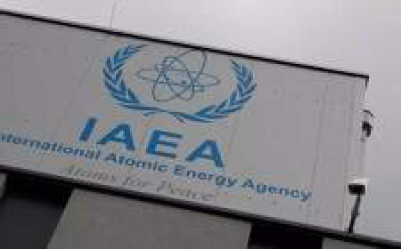 國際原子能機構(gòu)代表訪問沙特