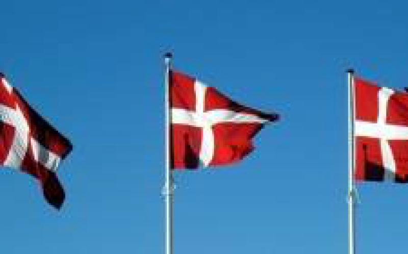 丹麥對(duì)高達(dá)1兆瓦的太陽(yáng)能項(xiàng)目進(jìn)行招標(biāo)