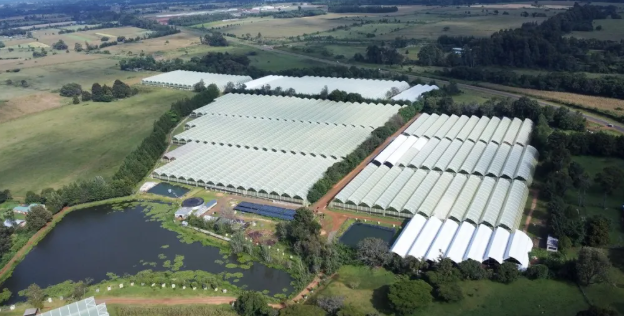 肯尼亞花卉種植園儲能系統(tǒng)實現清潔能源轉型